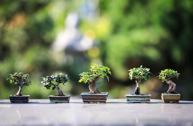 Nature-inspired Artistry